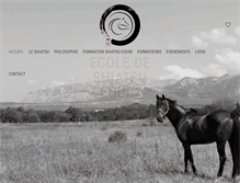 Tablet Screenshot of ecole-de-shiatsu-equin.com